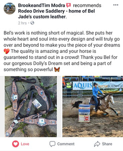 Custom bling tack horse gear bridle breastplate australian made tack quality bridles Bel Jade's Dolly's Dream